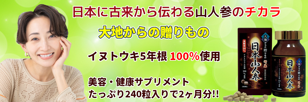 日本山人参（イヌトウキ） 5年根錠剤 240粒