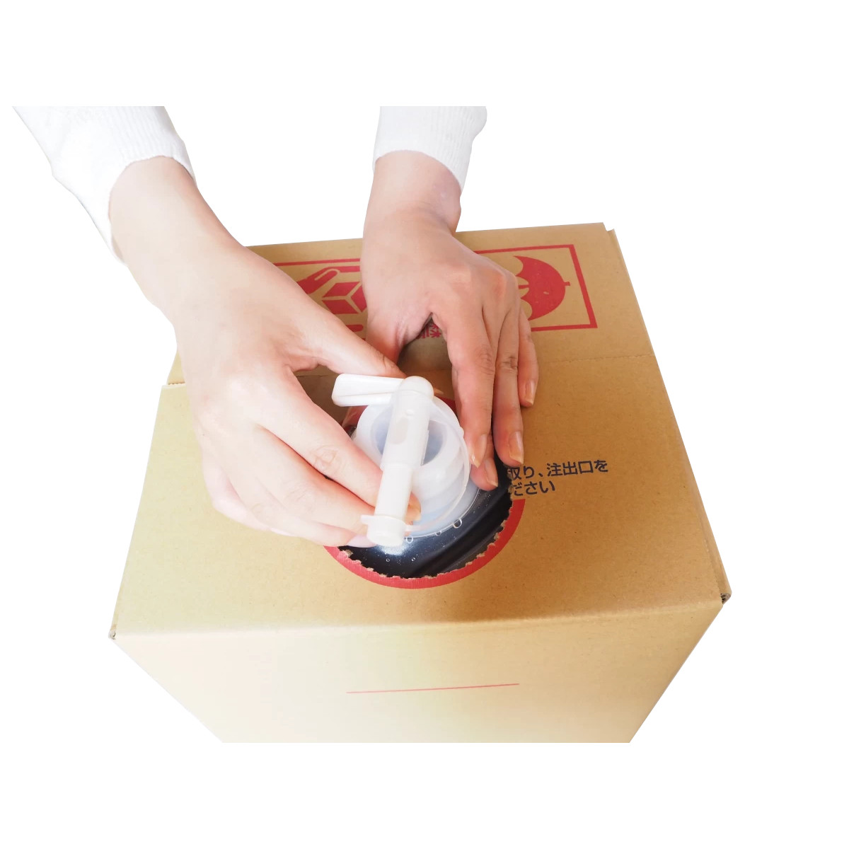 ジアムーバー酸化水 セットアップ