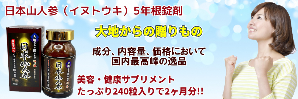 日本山人参(イヌトウキ) 5年根錠剤 240粒